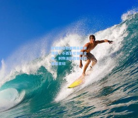 欧冠跑动数据揭示战术博弈，小西蒙尼领跑全场，利物浦险胜背后的体能密码